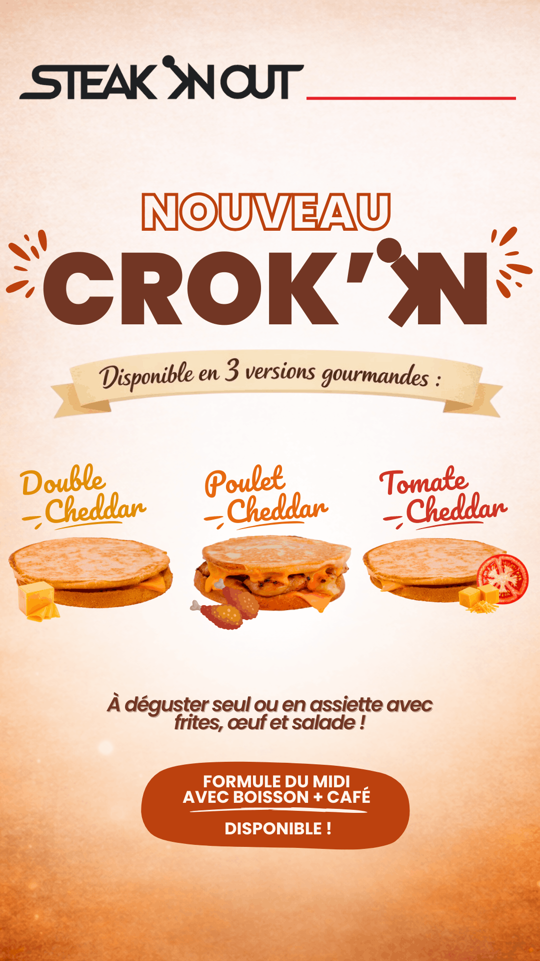 CROK IN (borne) (1)
